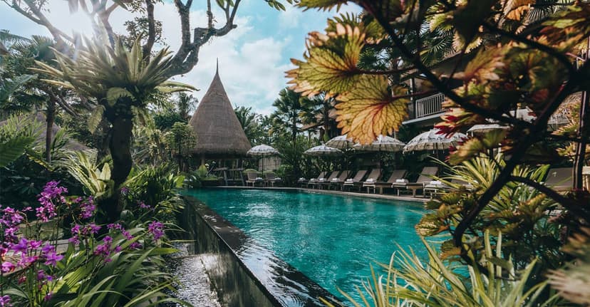 The Alena a Pramana Experience **** thumbnail