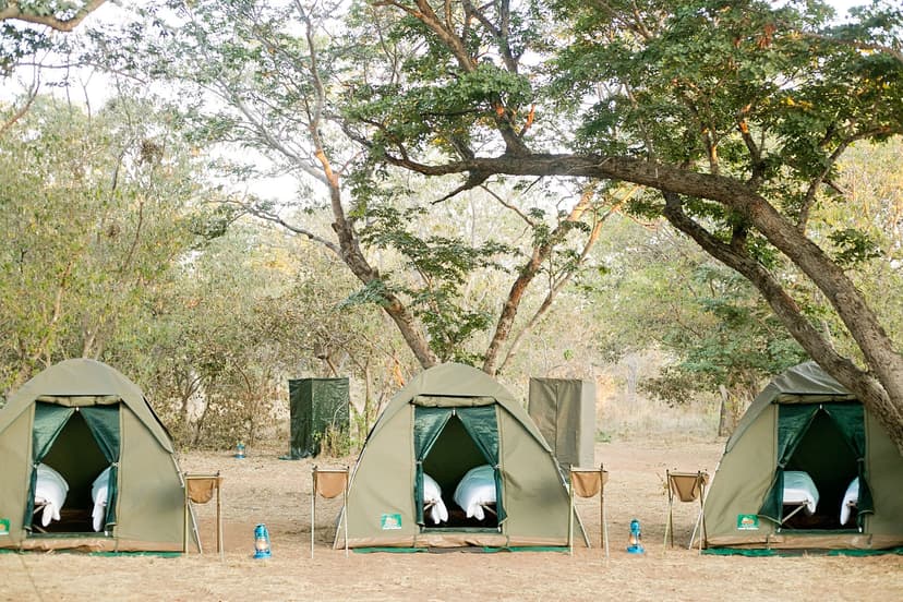 Shearwater Camp thumbnail
