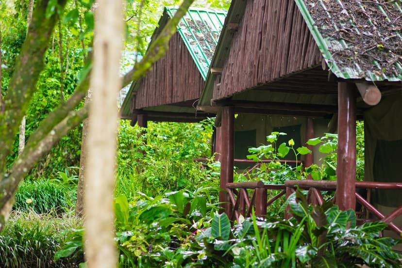 Kibale Forest Camp thumbnail