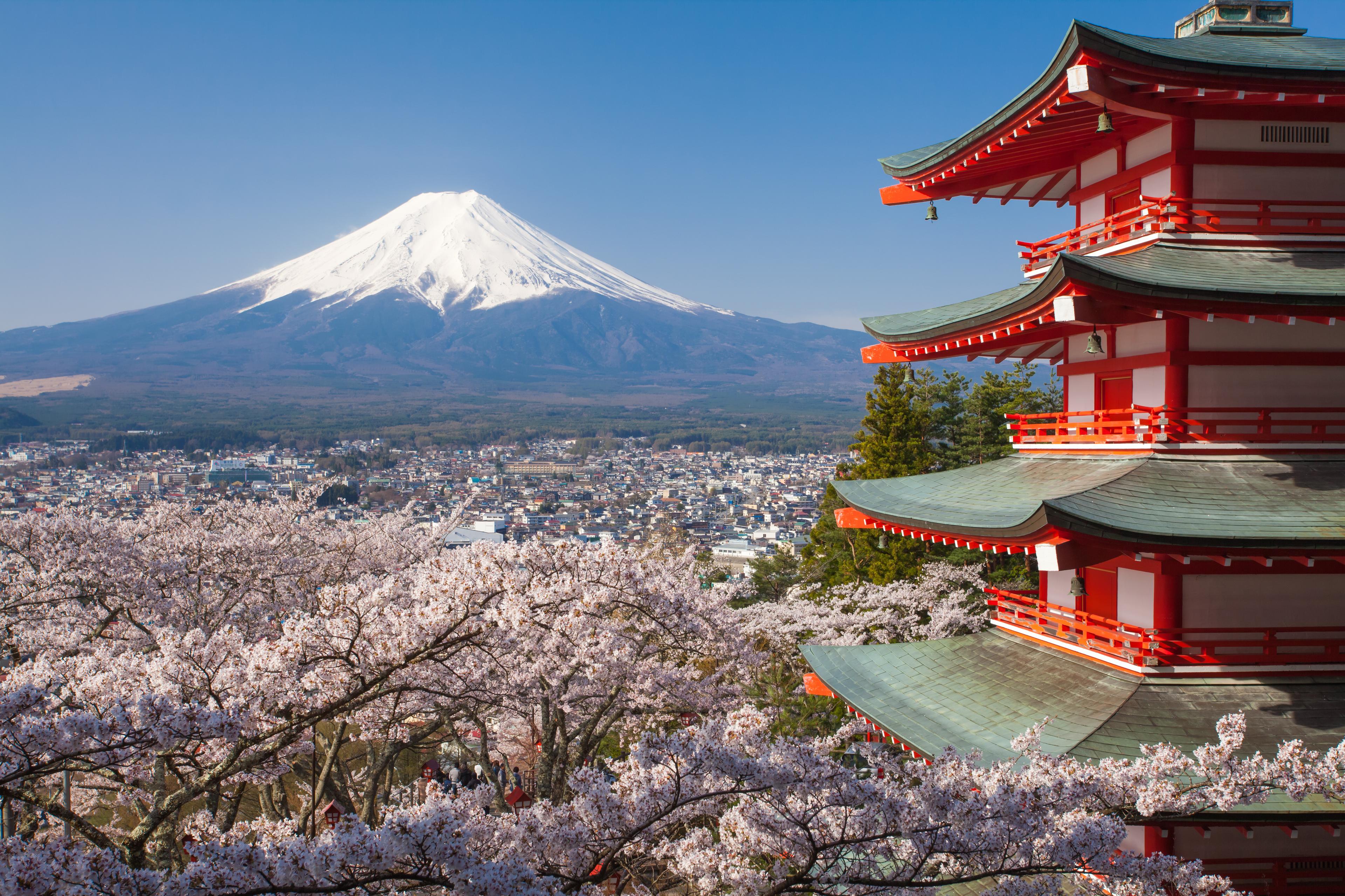 Ganztägige Tour zum Mount Fuji thumbnail