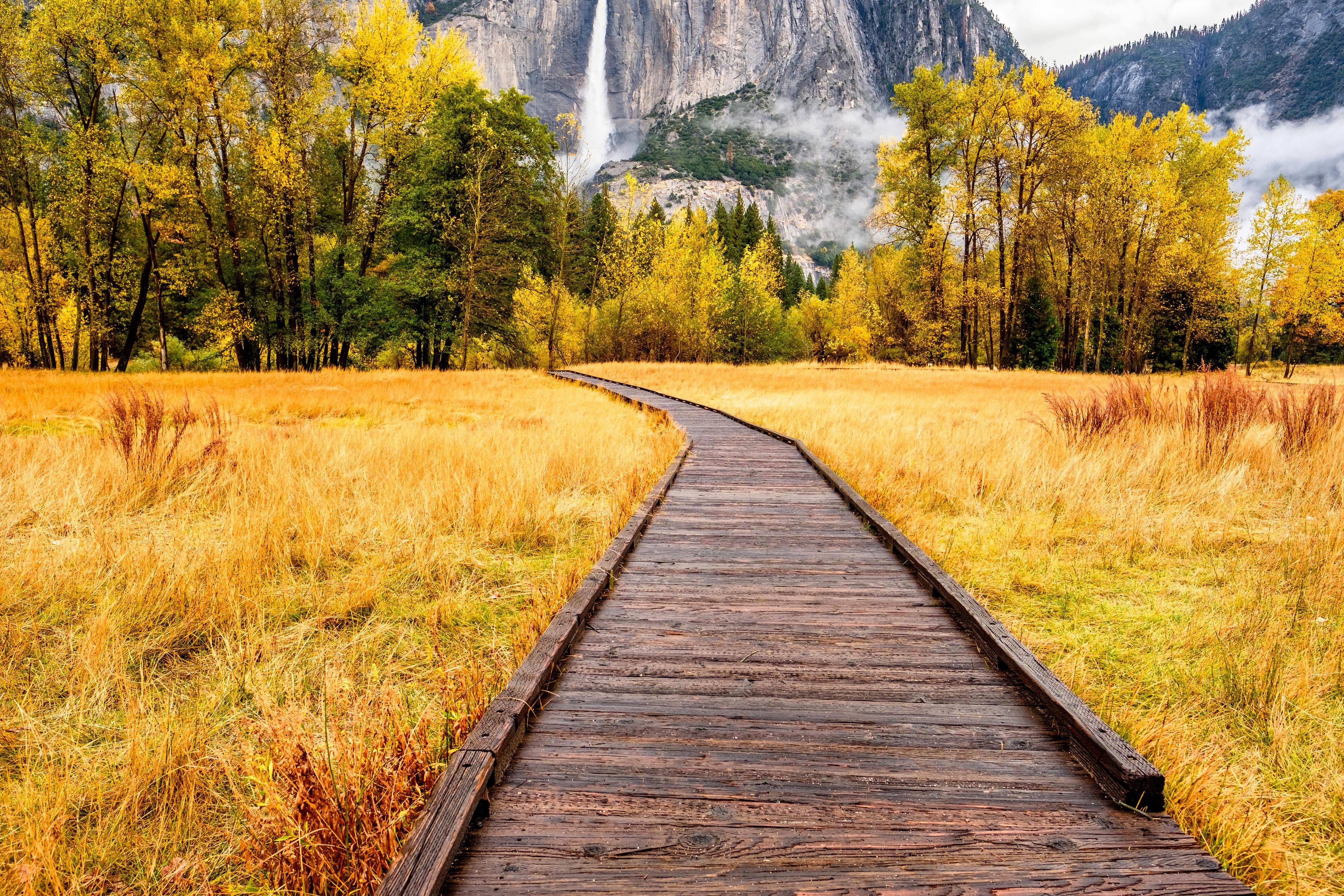 Ganztägige Tour zum Yosemite-Nationalpark ab San Francisco thumbnail