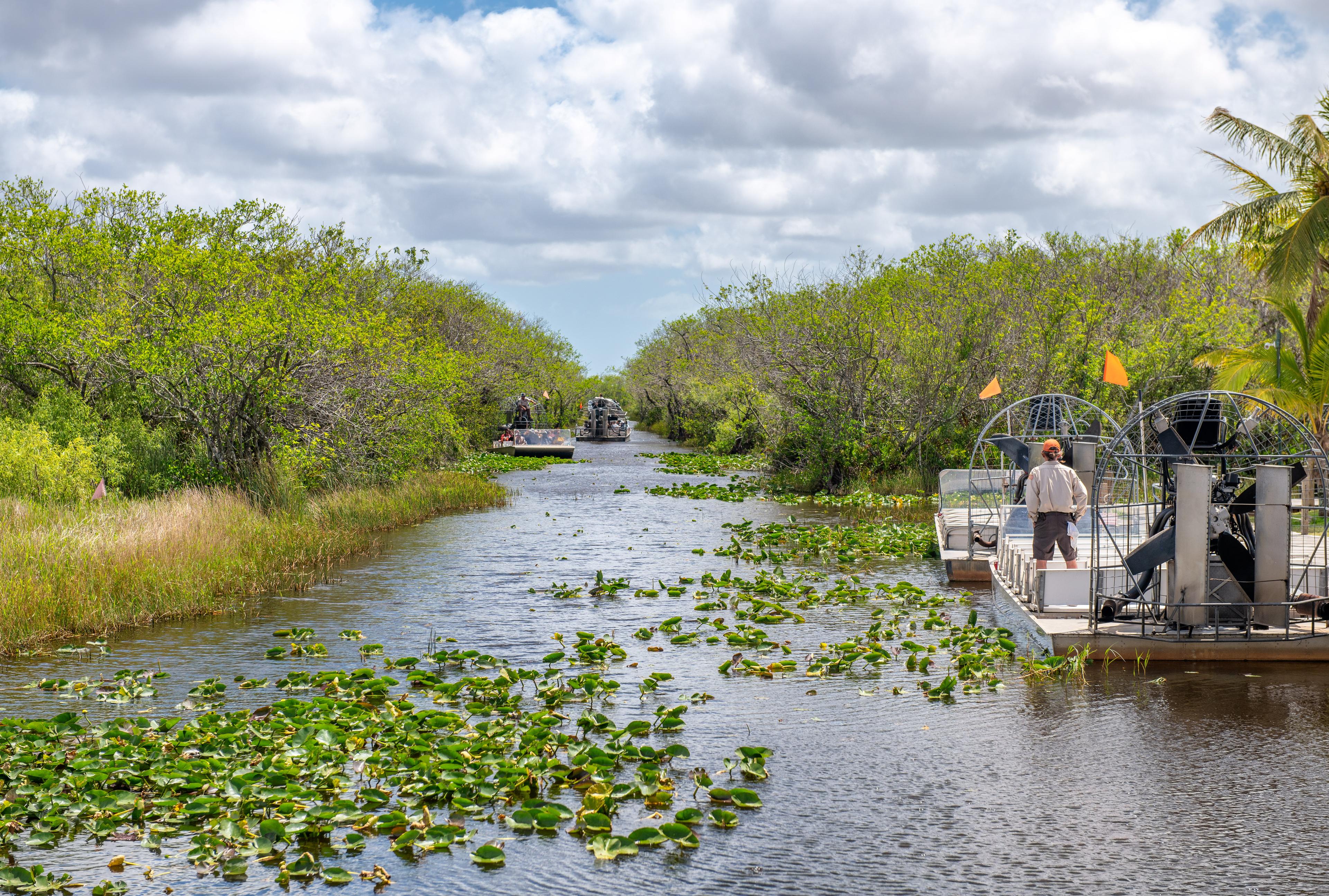 Everglades Airboat Tour & Naturspaziergang thumbnail