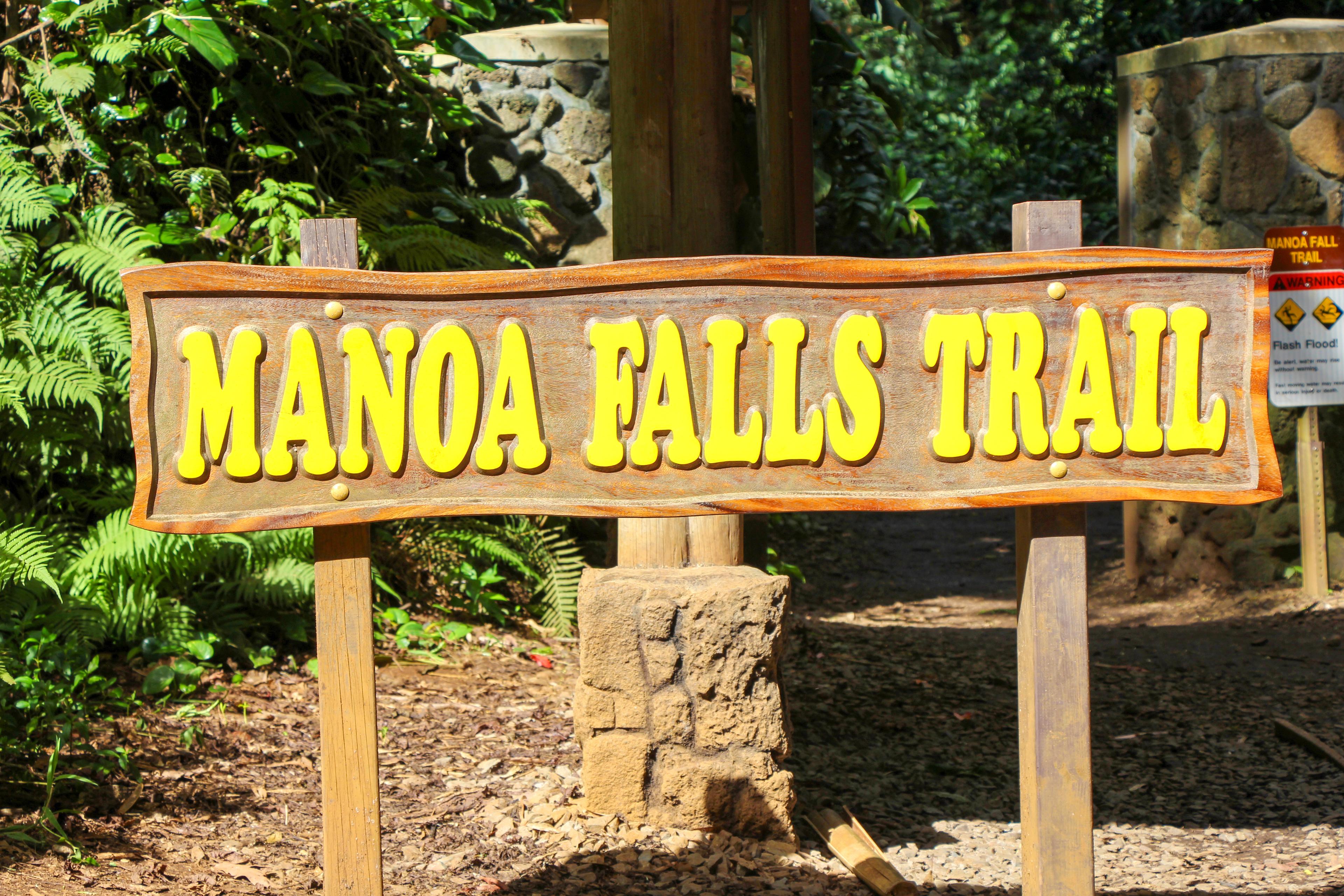 Wanderung zu den Manoa Falls & Tantalus Lookout im Puu Ualakaa State Park thumbnail