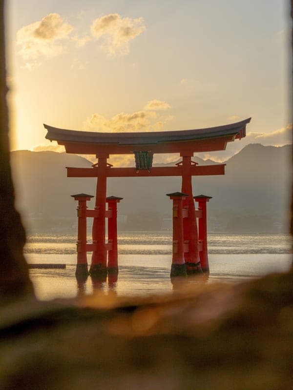 Trip card background image