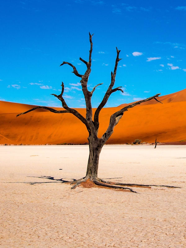 Great African Roadtrip