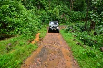 Halbtägige Jeep-Tour durch den Tijuca-Regenwald thumbnail