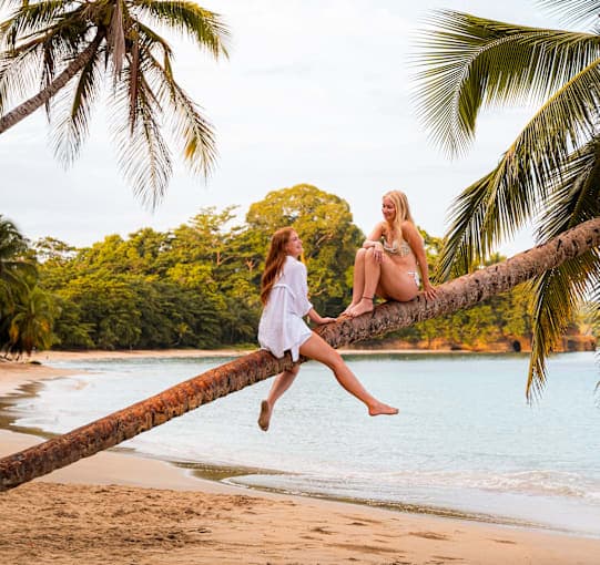 Costa Rica Roadtrip: Jungle Beats & Ocean Waves