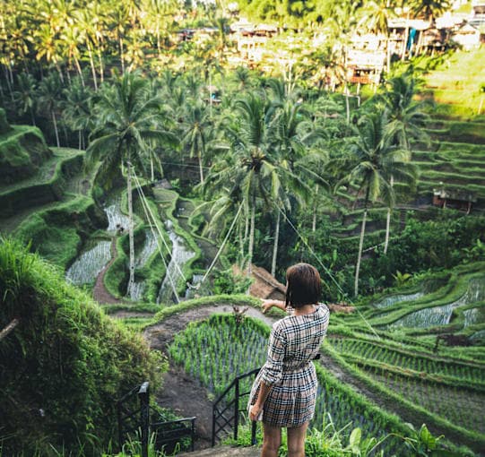 Bali Stories: Find Me by the Waves