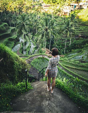 Bali Stories: Find Me by the Waves