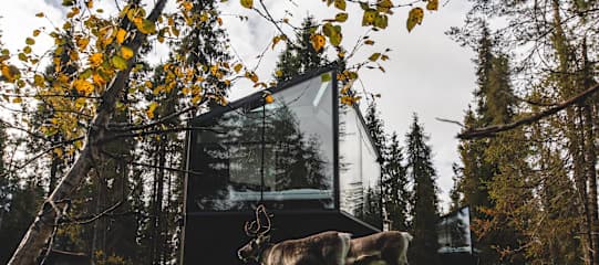 Finnland Signature: Midnight Sun am Magical Pond