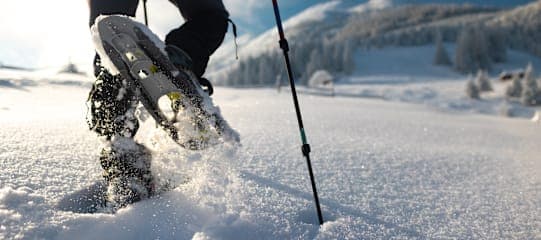 Finnlands Winterzauber: Abenteuer unter dem Polarlicht