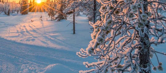 Lappland Roadtrip: Snowy Lights & Polar Nights