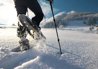 Finnlands Winterzauber: Abenteuer unter dem Polarlicht