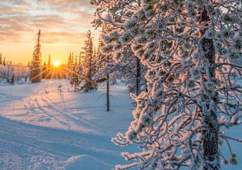 Lappland Roadtrip: Snowy Lights & Polar Nights