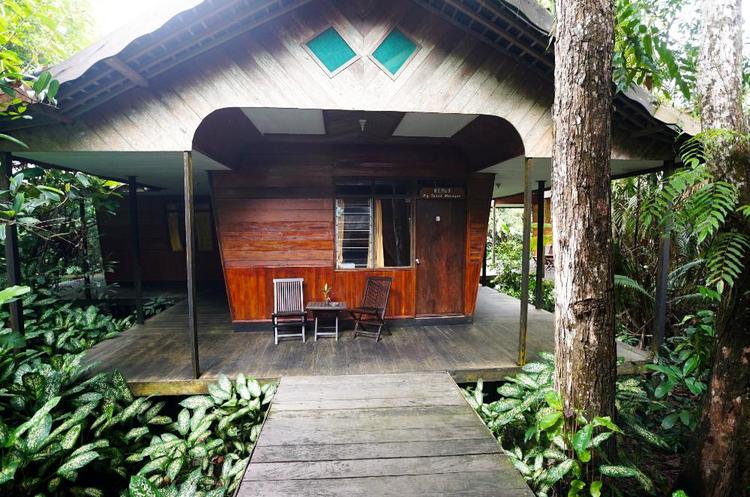 Upgrade: Rimba Orangutan Eco Lodge thumbnail