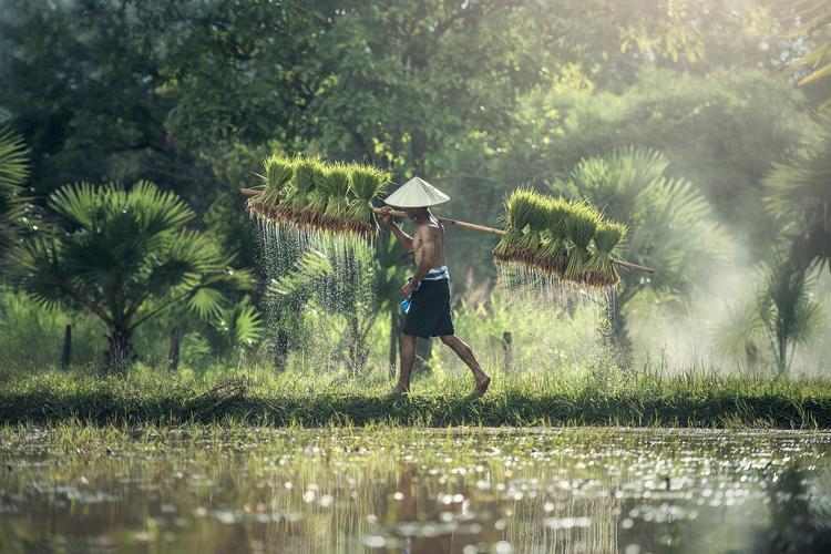 Vietnams Countryside erleben! 