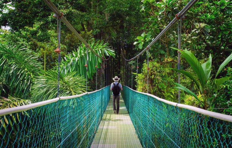 Monteverde: Welcome to the Jungle!