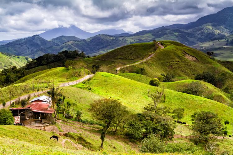 Shades of Green: Costa Ricas Hochland