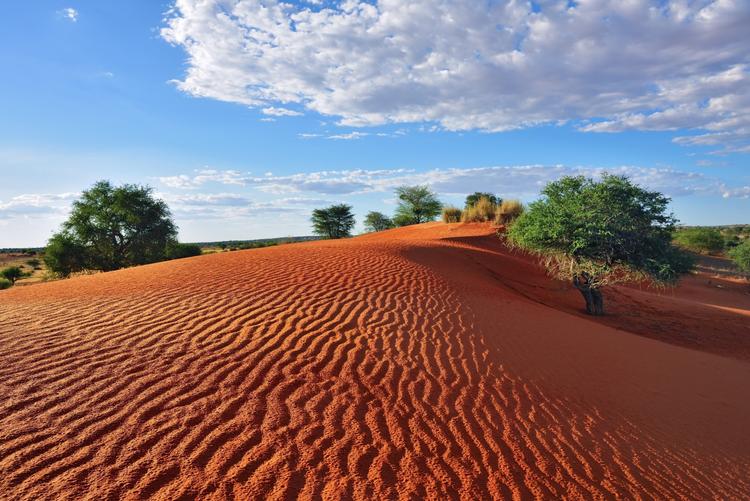 Unberührter Kalahari-Sand