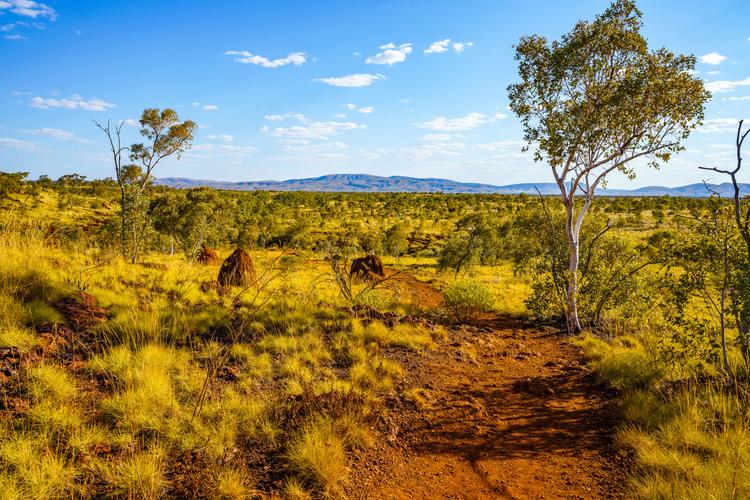 Outback Intense: Roadtrip Adventure