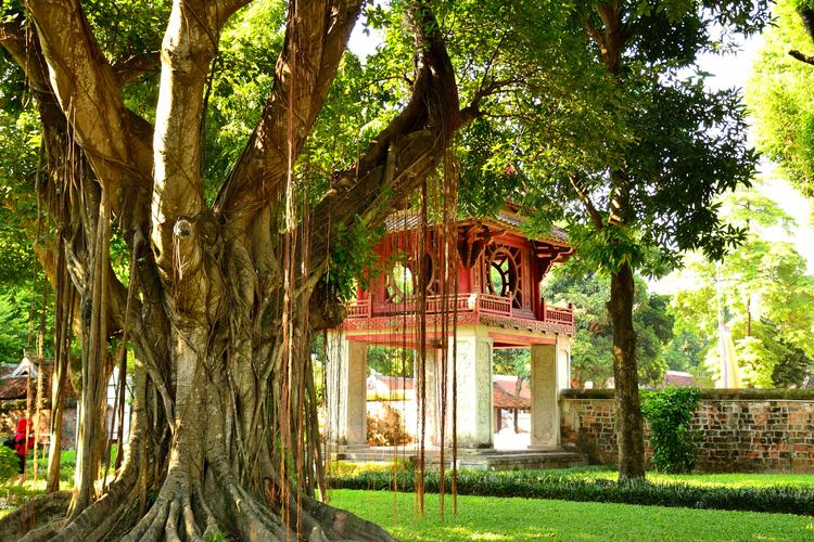 Nature & Culture: Khue Van Pavilion 