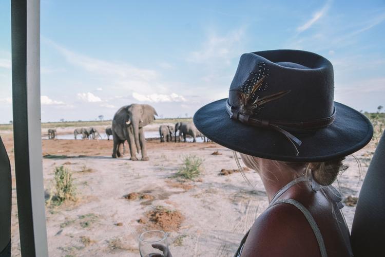 Safari: Elefanten auf der Spur