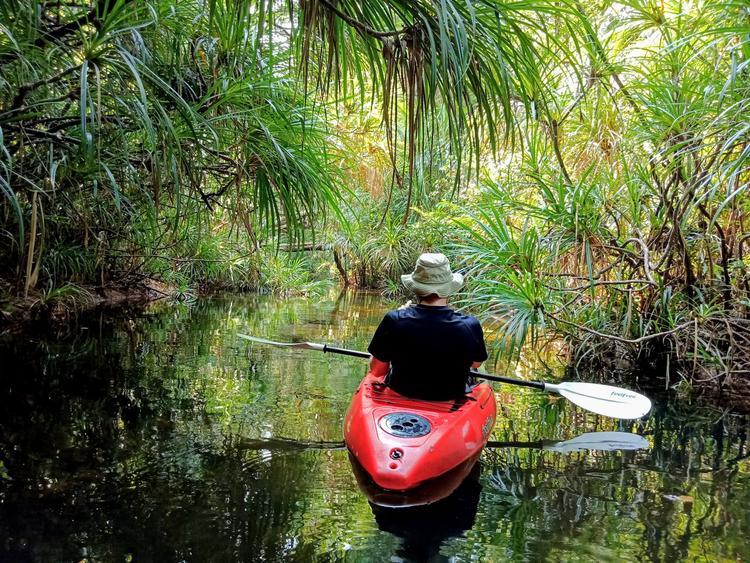Jungle Kayaking: Enjoy the Silence!