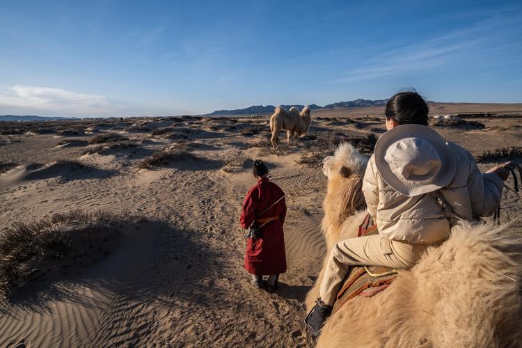 Wüstenzauber: Auf Kamelwanderung