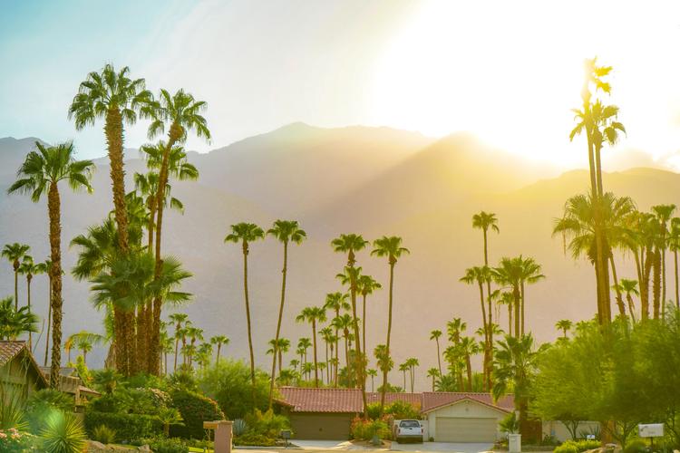 Palm Springs: Golden Sunset 