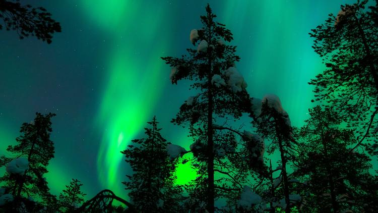 Amazing Aurora: Grünes Lichterspiel
