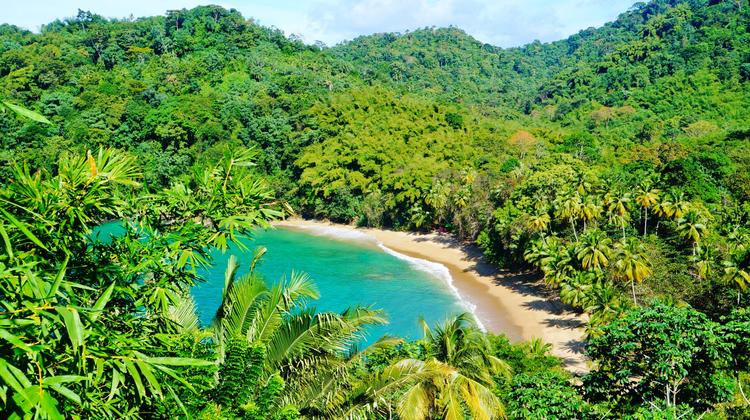 Island Gem: Jungle meets Beach