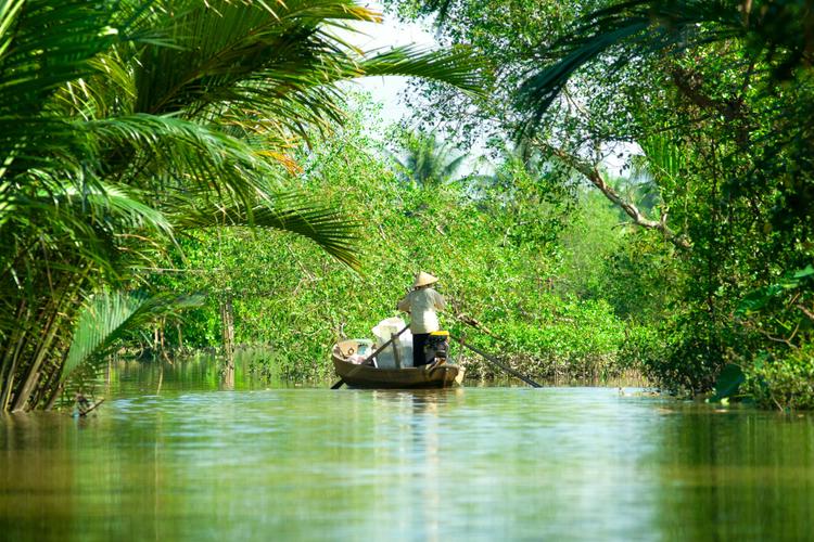Mystical Mekong: Jungle Delta!