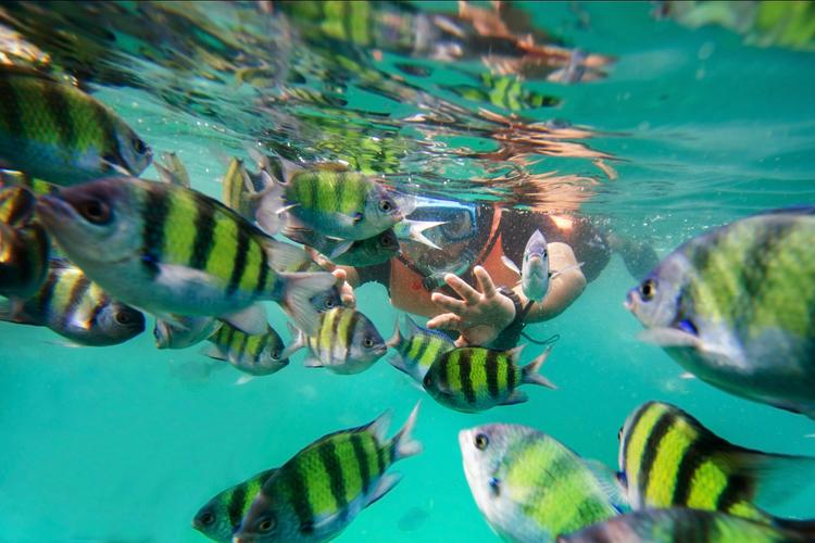 Snorkeling: Underwater Joy