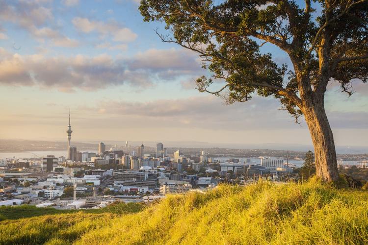 Hoch hinaus: Auckland von oben
