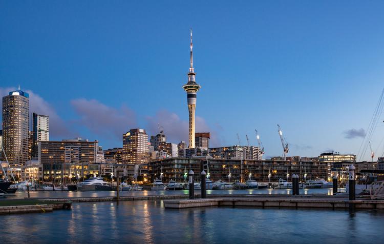 Auckland City Views: Sky Tower