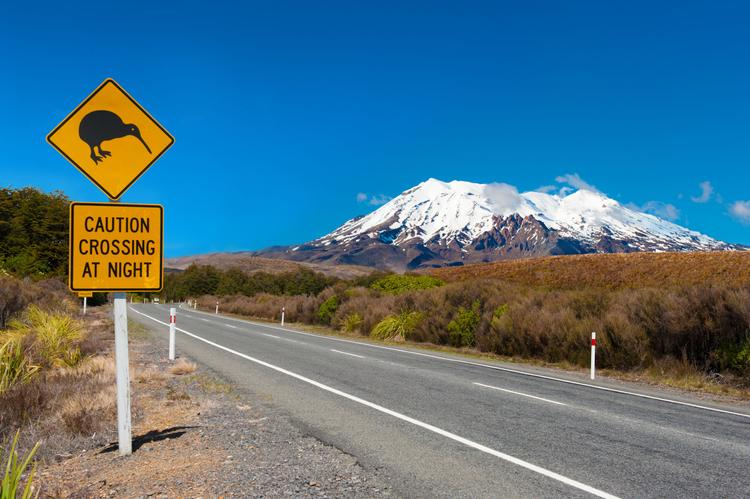 Caution: Kiwis crossing