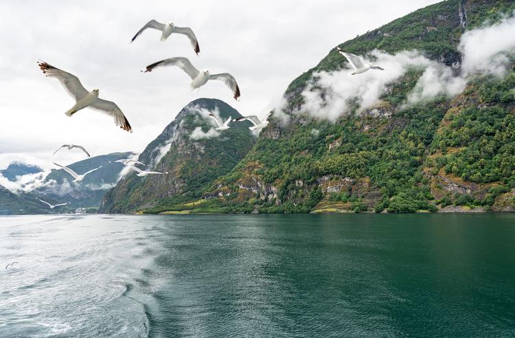 Freiheitsgefühle in den Fjorden