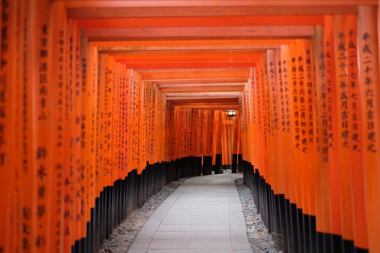 Fushimi Inari: 1.000 rote Torii