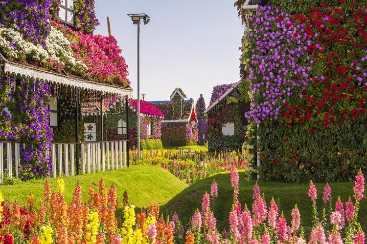 Miracle Garden: Über 150 Mio. Blumen