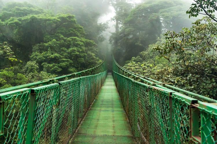 Monteverde: In den Nebel hinein