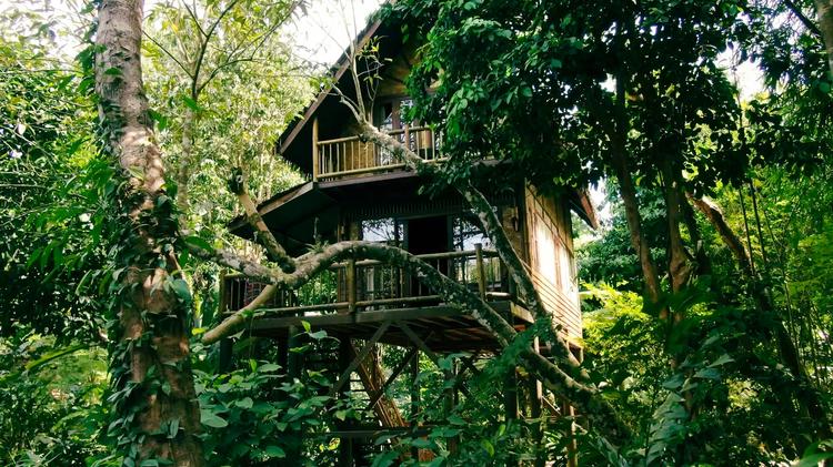 Into the Jungle: Glamping Abenteuer