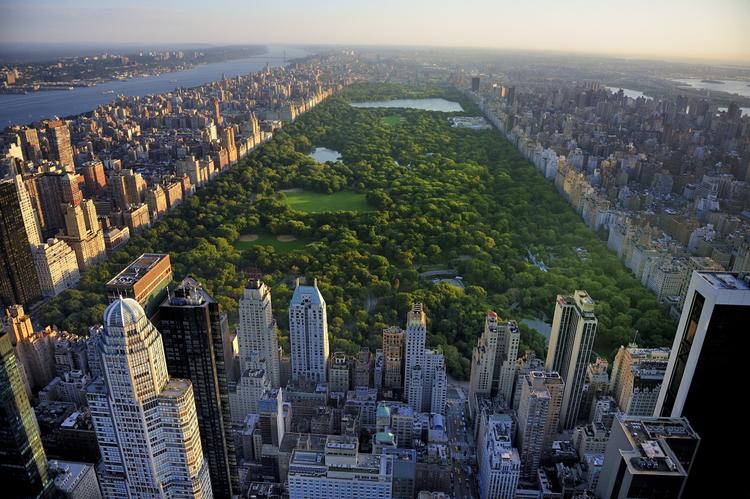 Central Park: New Yorks grüne Lunge