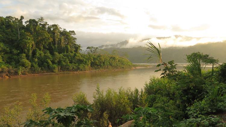 Amazonas: Grenzenlos die Welt entdecken