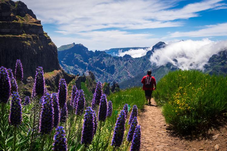 Madeira: Umwerfende Natur!
