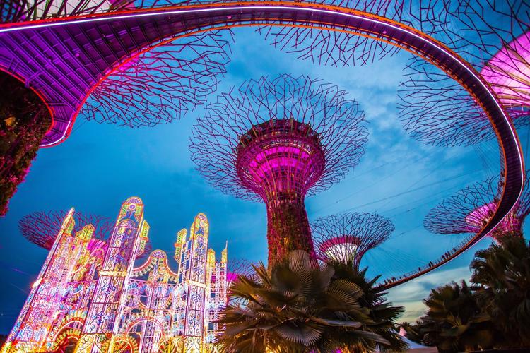 Singapur: Gigantische Super Trees! 