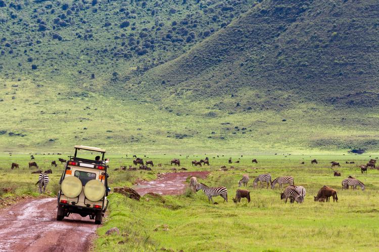 Ngorongoro Krater: Adventure time!