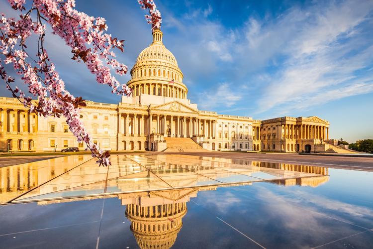 Spectacular: Washington Capitol 