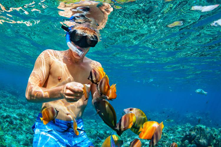 Thailands zauberhafte Unterwasserwelt