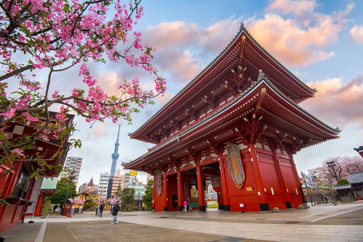 Bunte Schönheiten: Sensoji-Tempel