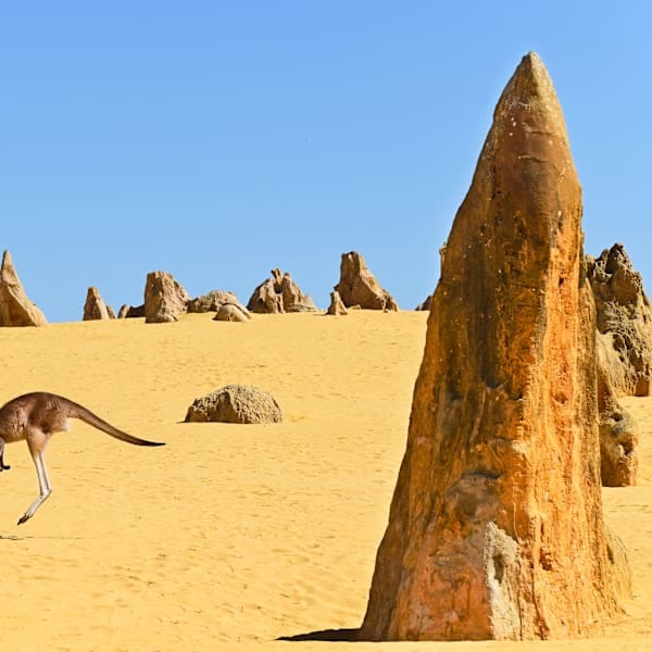 Australian vanlife: westcoast wonders & outback vibes!